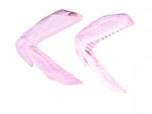 Duck 2 Joint Wing