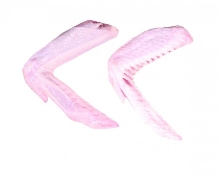 Duck 2 Joint Wing