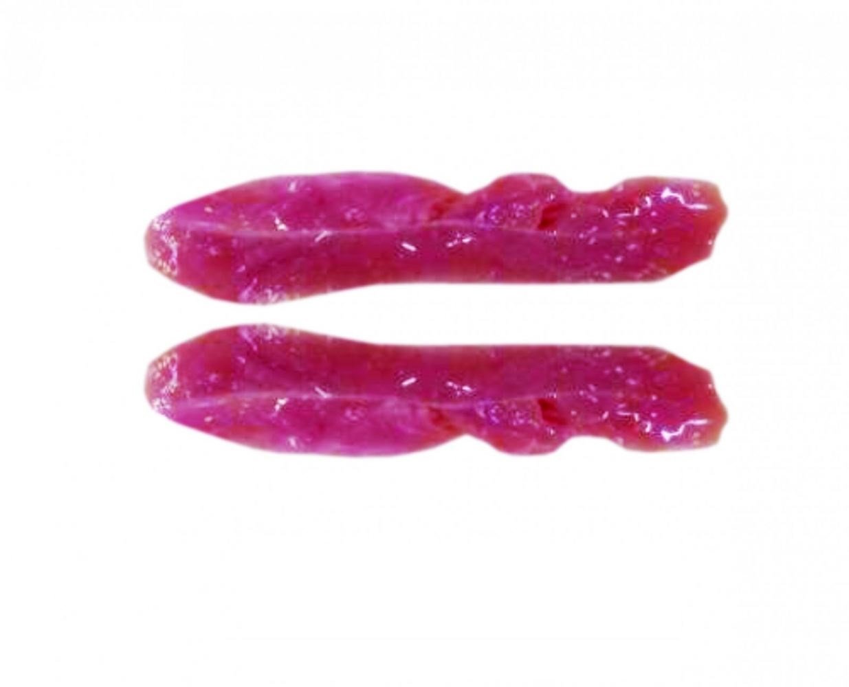 Duck Fillet