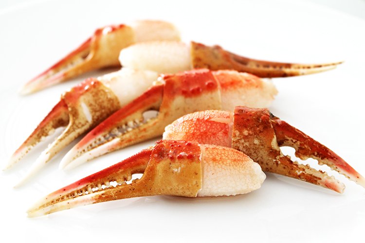 Snow Crab