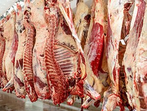 Whole Beef Carcass