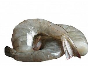 Fresh Shrimp