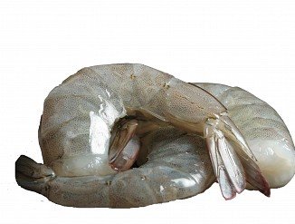 Fresh Shrimp