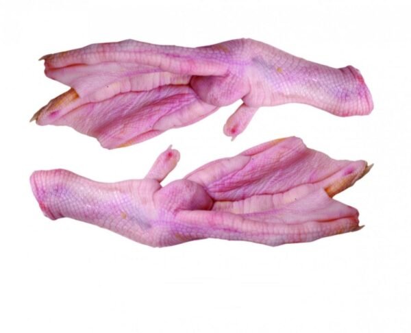 Duck Feet