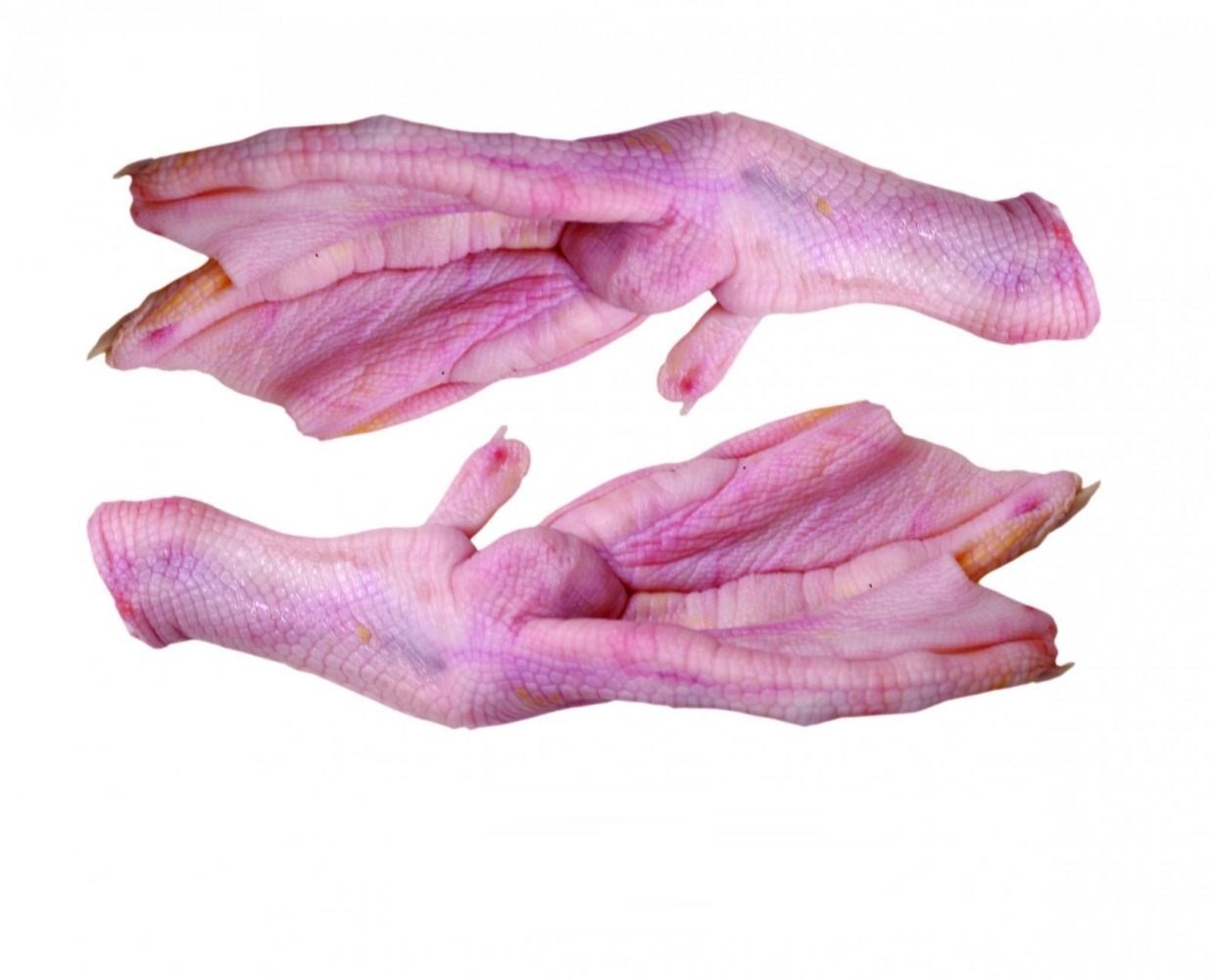 Duck Feet