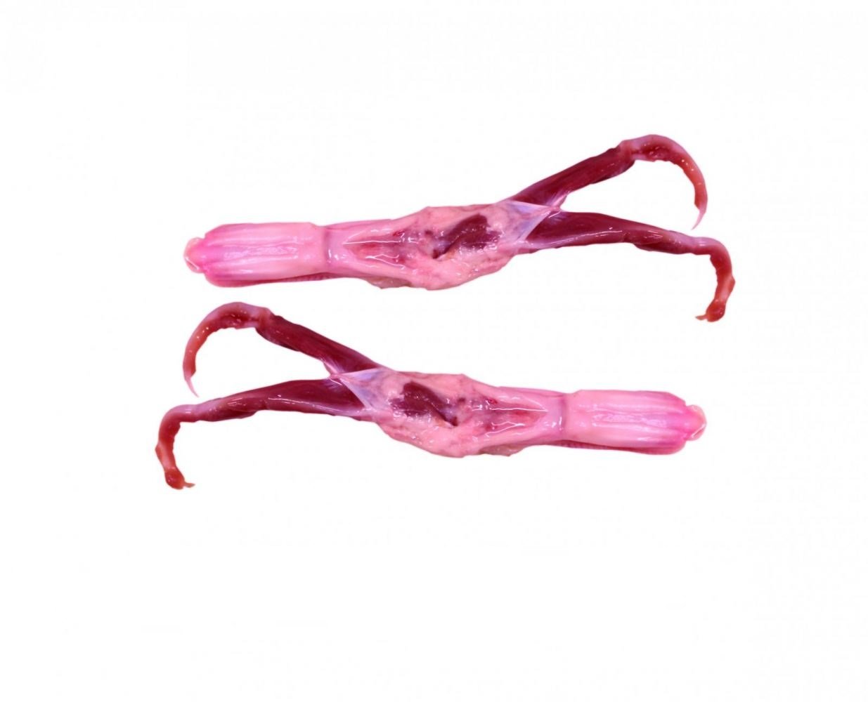Duck Tongue